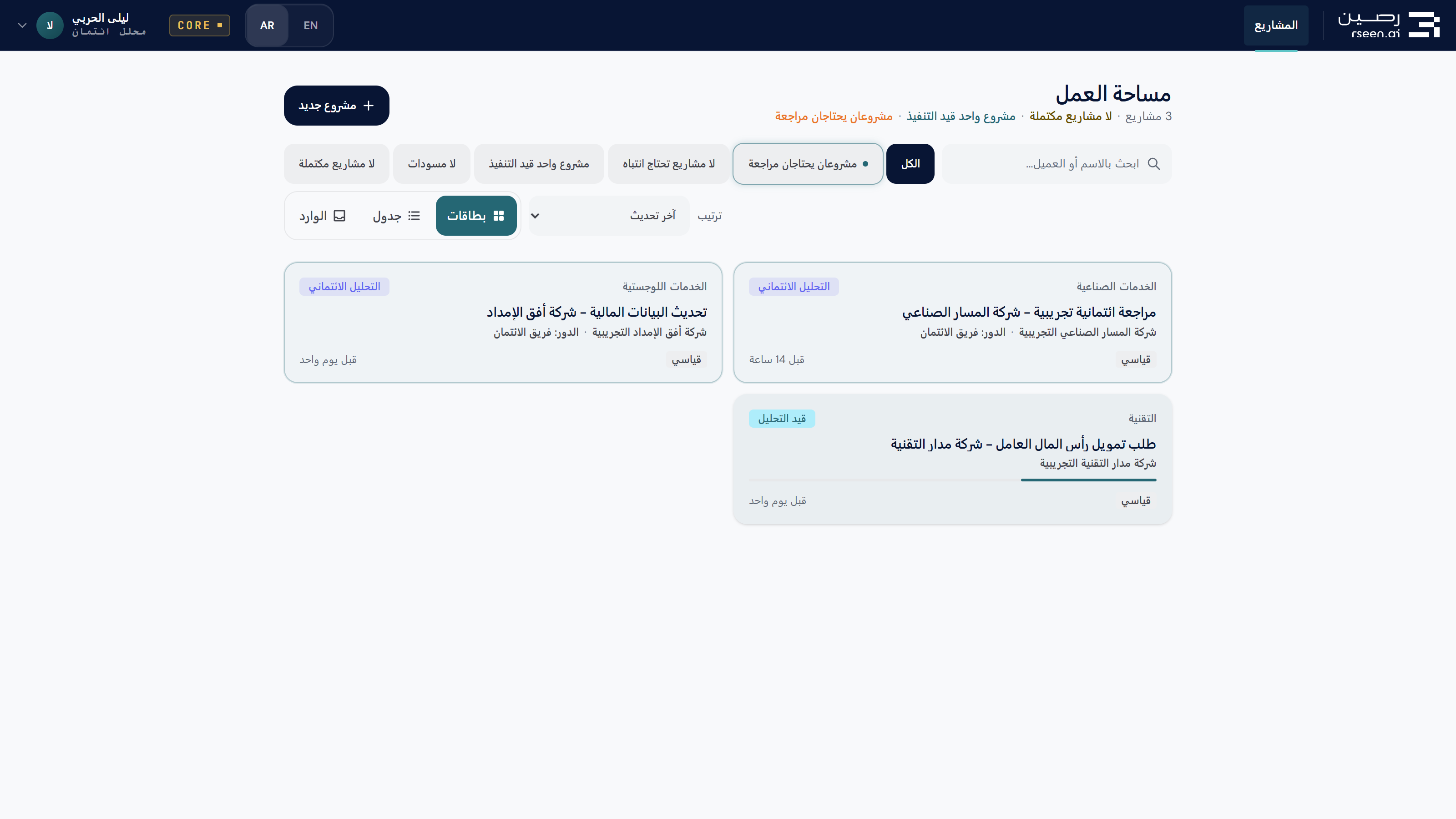 RSEEN Core interface · synthetic case — Arabic workspace